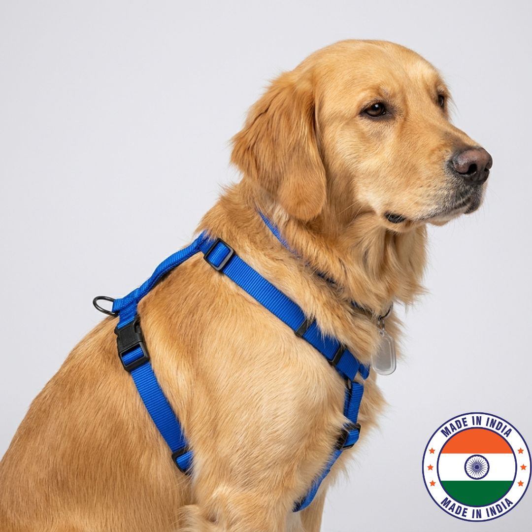 Vama PRO HARNESS