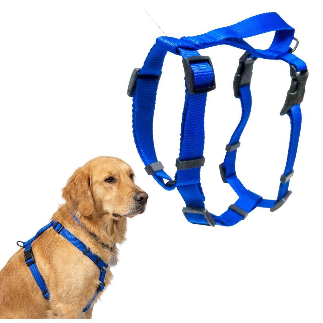 Vama PRO HARNESS