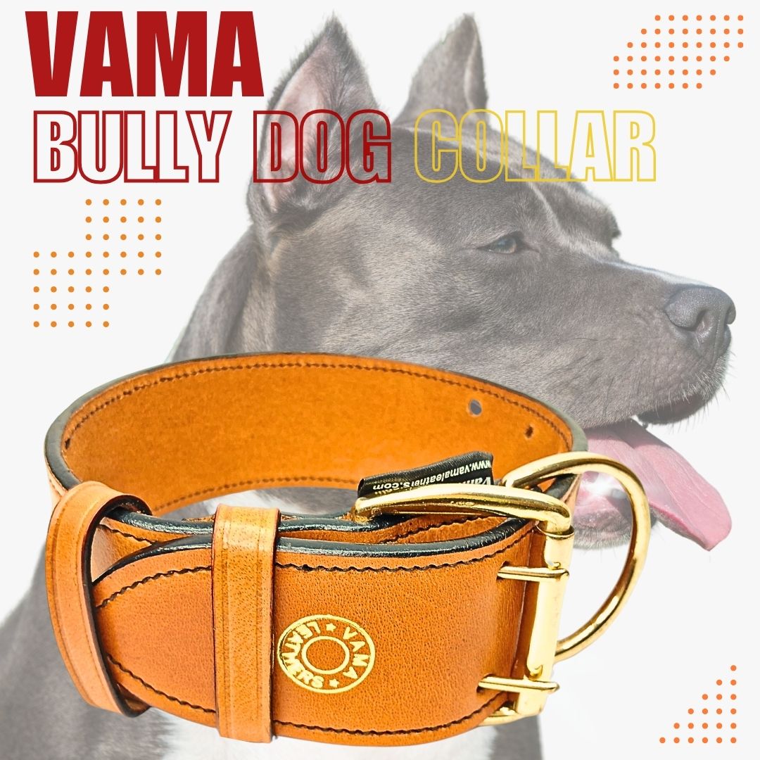 Vama Bully Dog Collar