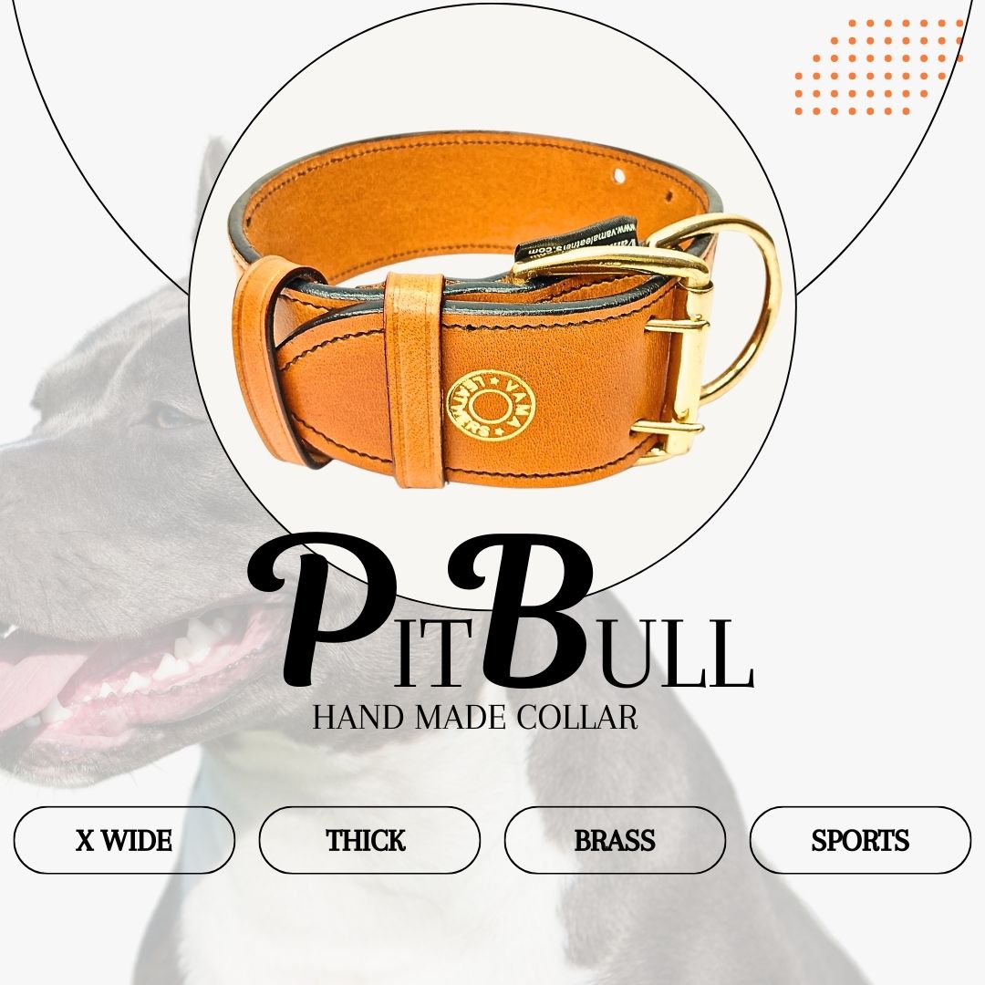 Vama Bully Dog Collar