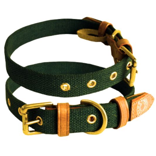 Vama AIR COLLAR