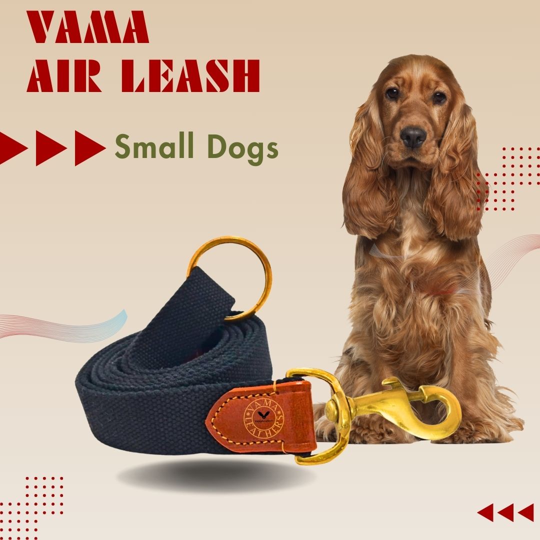 Vama AIR LEASH