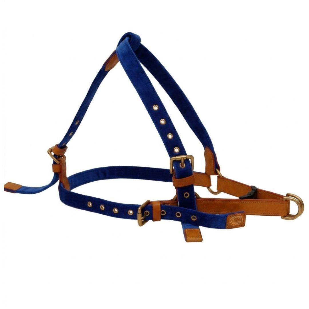 Vama AIR HARNESS