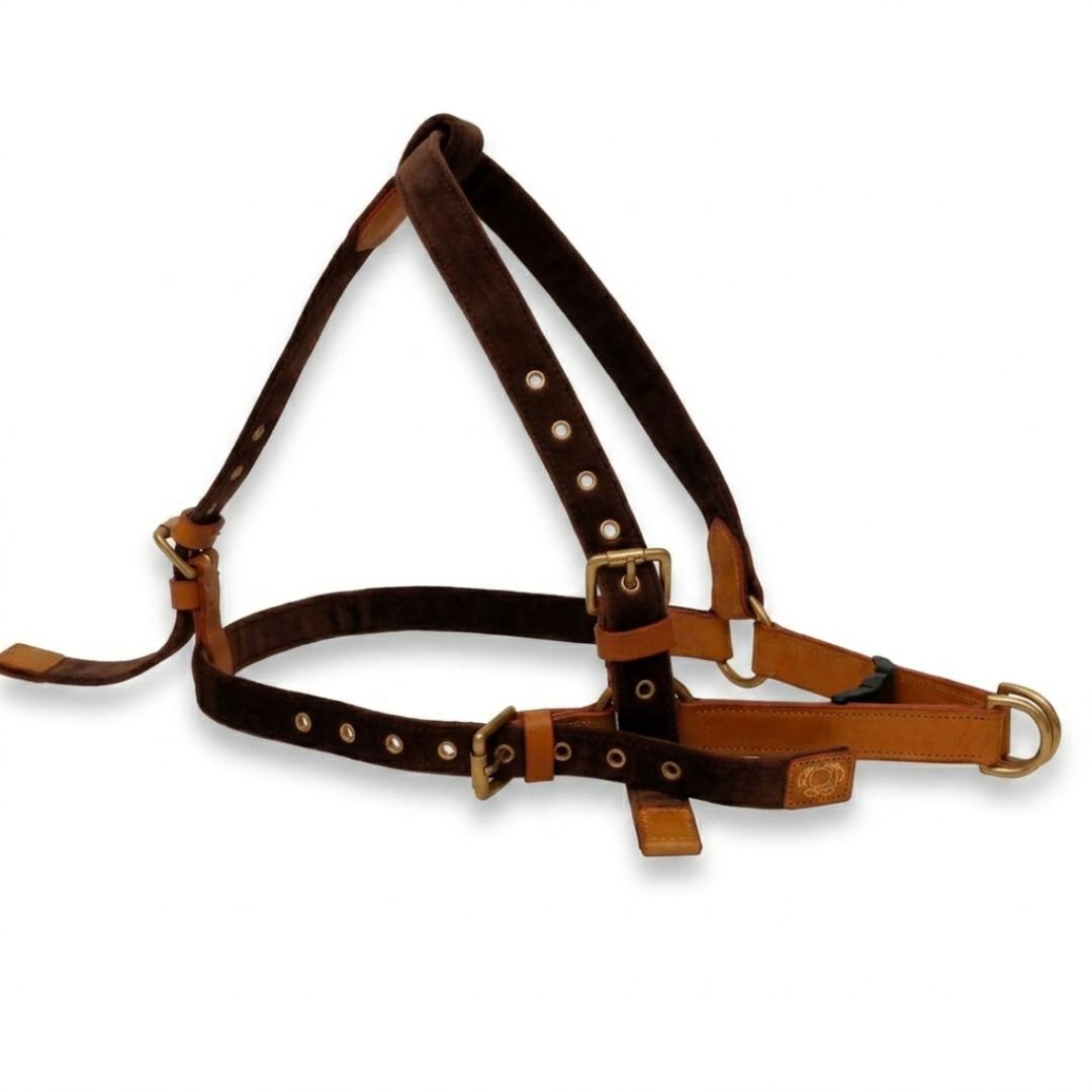 Vama AIR HARNESS