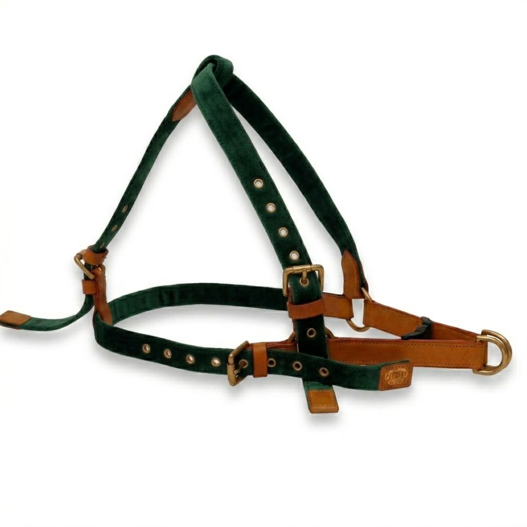 Vama AIR HARNESS
