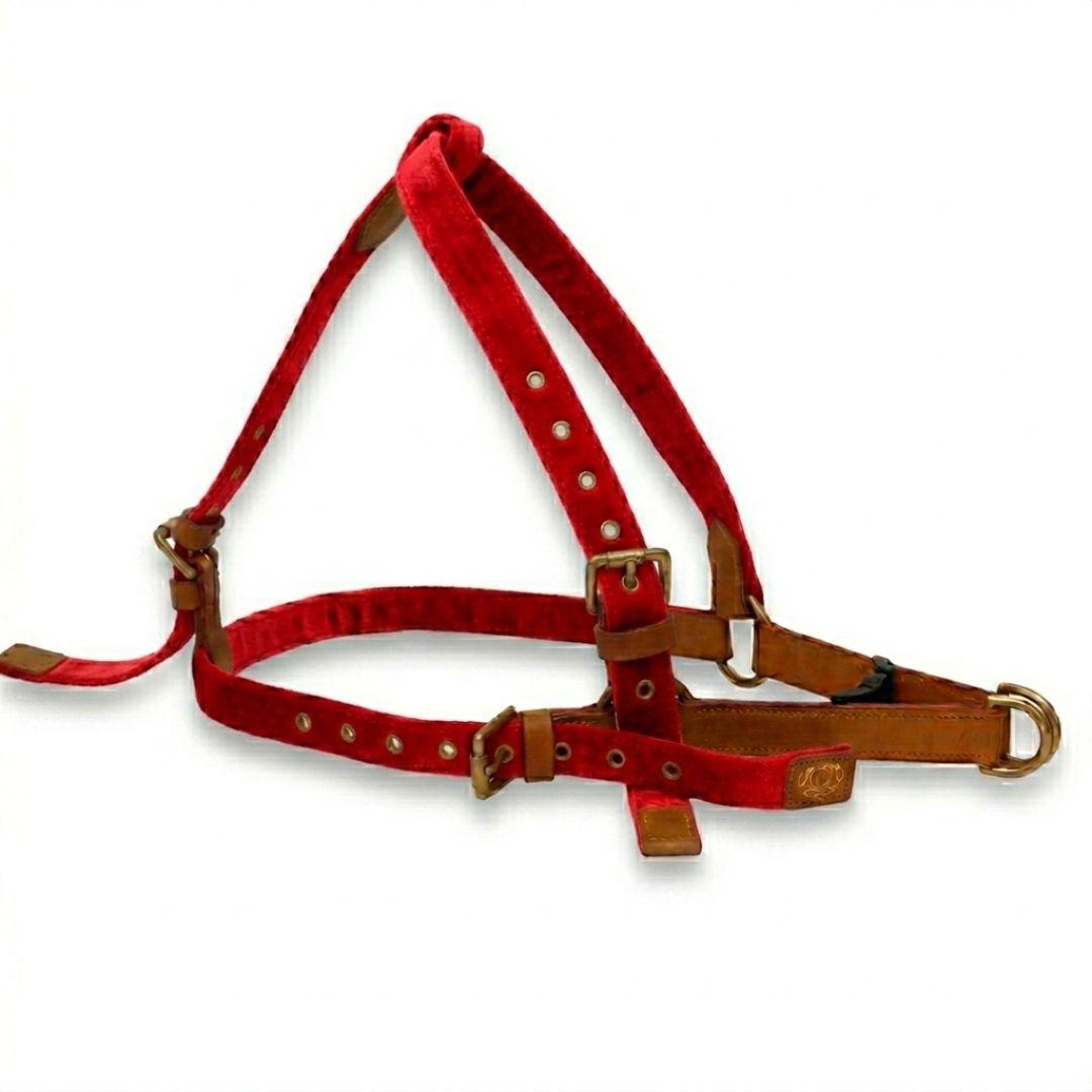 Vama AIR HARNESS