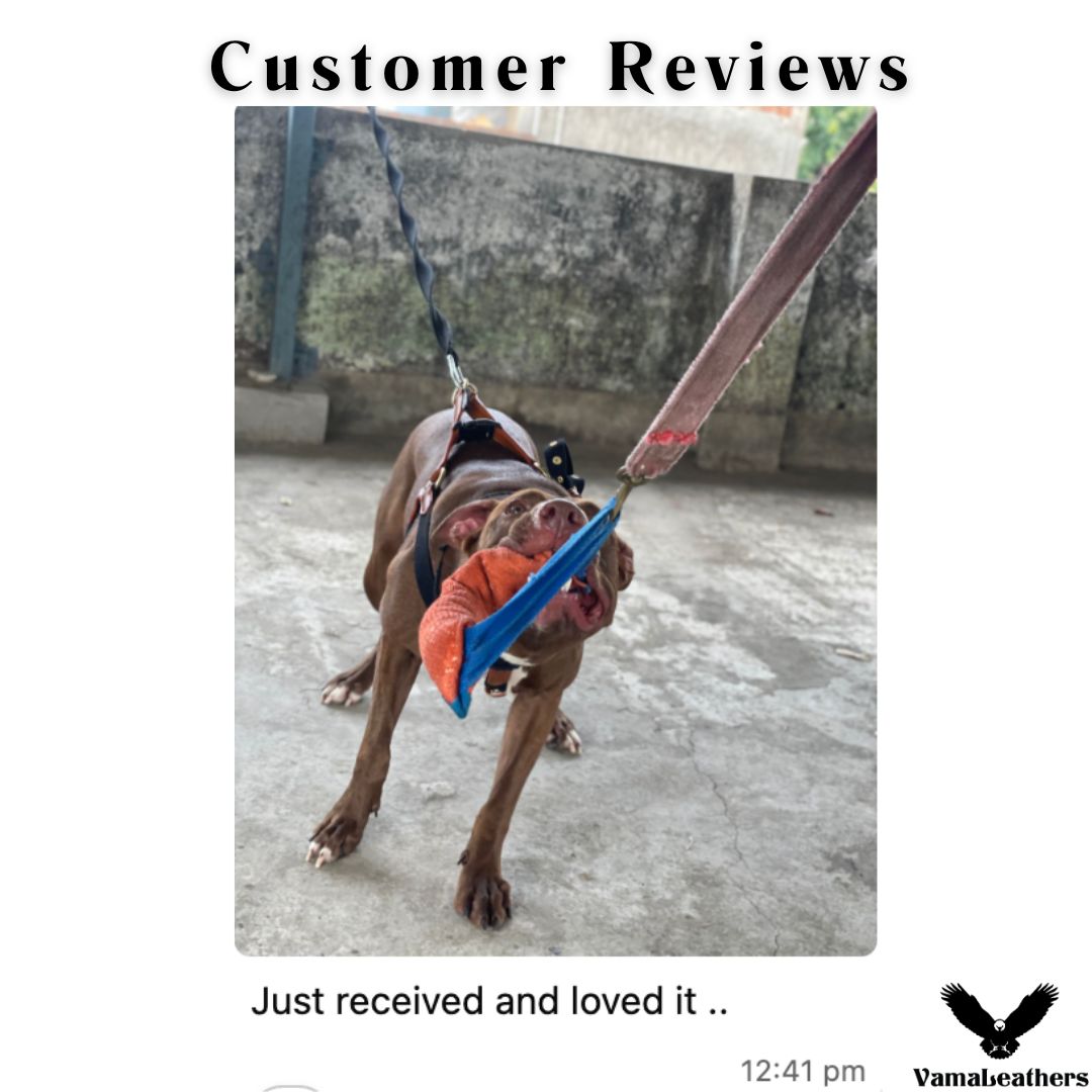 Vama AIR HARNESS