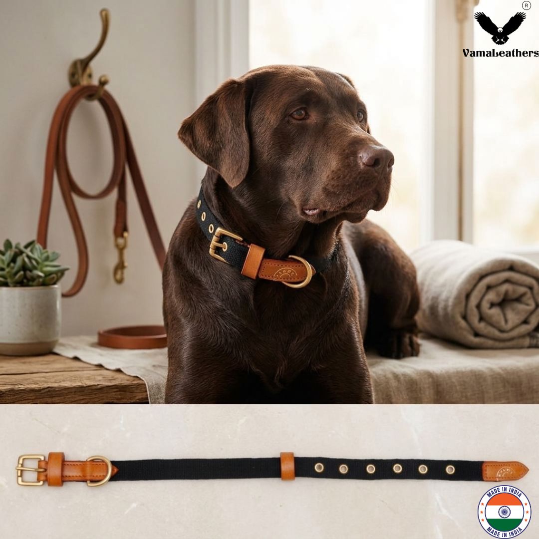 Vama AIR COLLAR