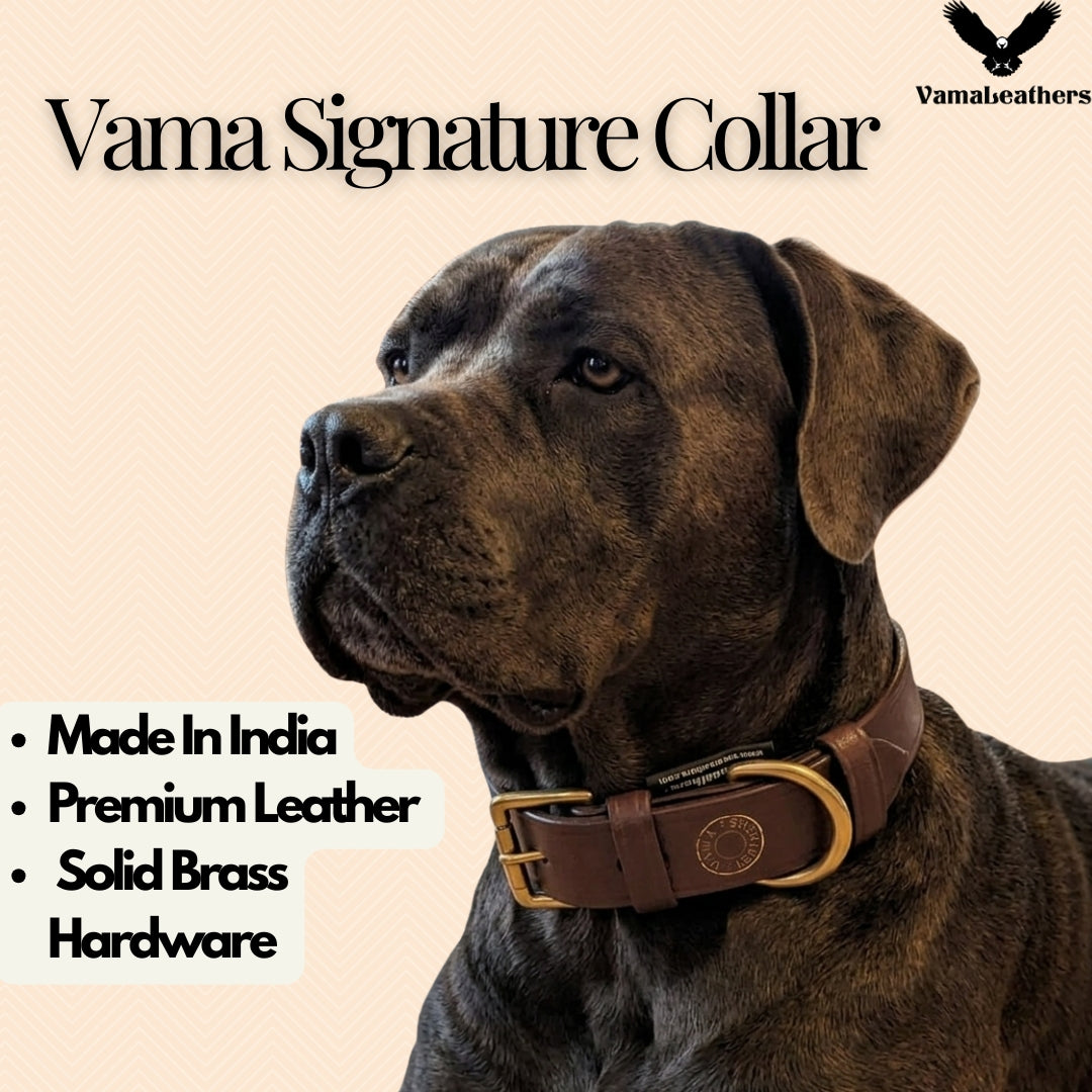 Vama LEATHER COLLAR