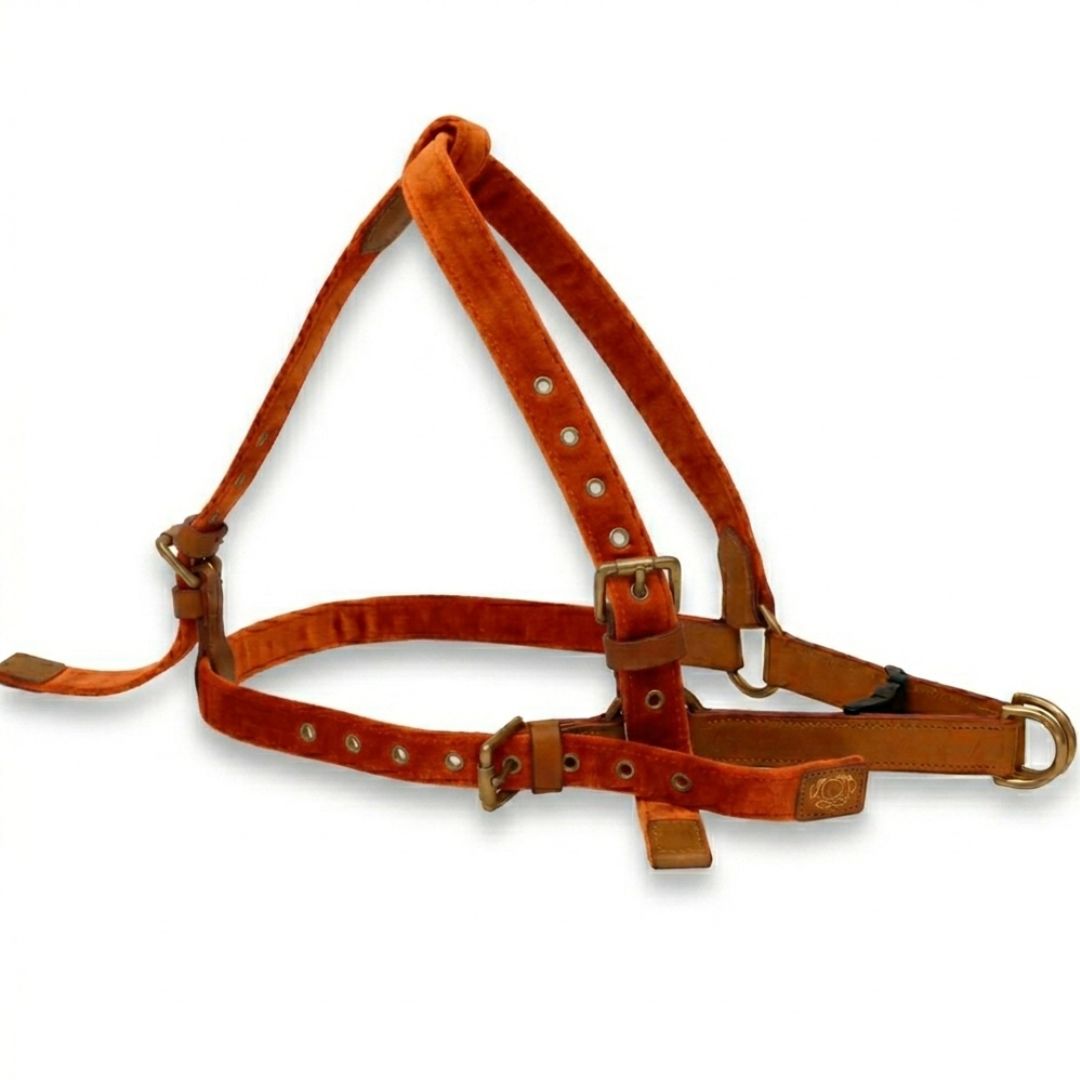 Vama AIR HARNESS
