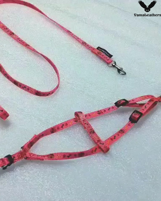 Vama Puppy Training Harness & Leash Set