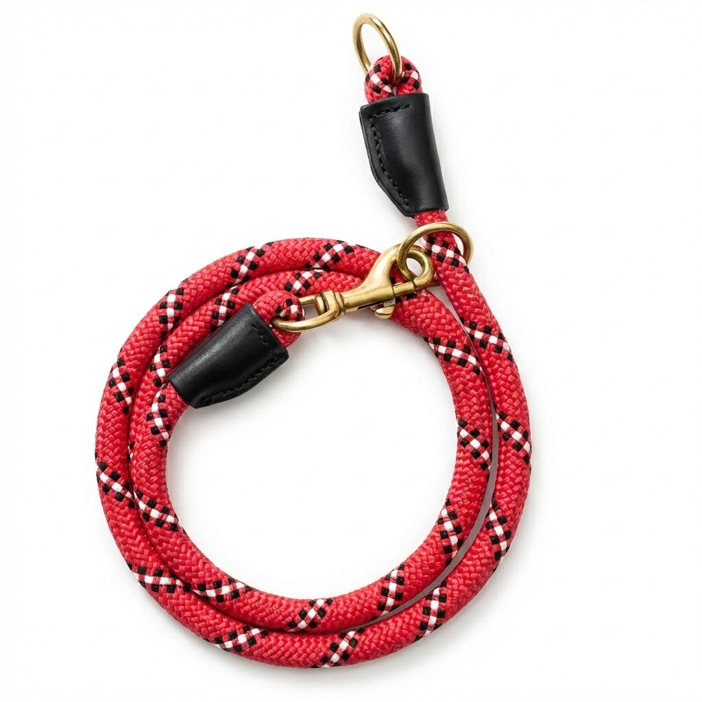 Vama DOMINANT DOG COLLAR