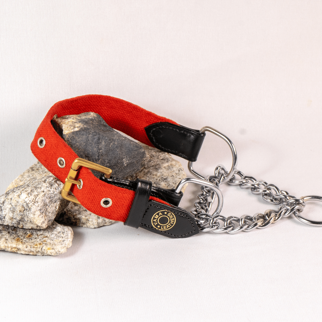 Strong martingale dog collars hot sale